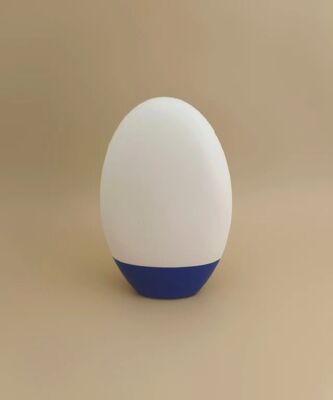 Bouteille en plastique blanc lisse avec bouchon bleu pour shampooing